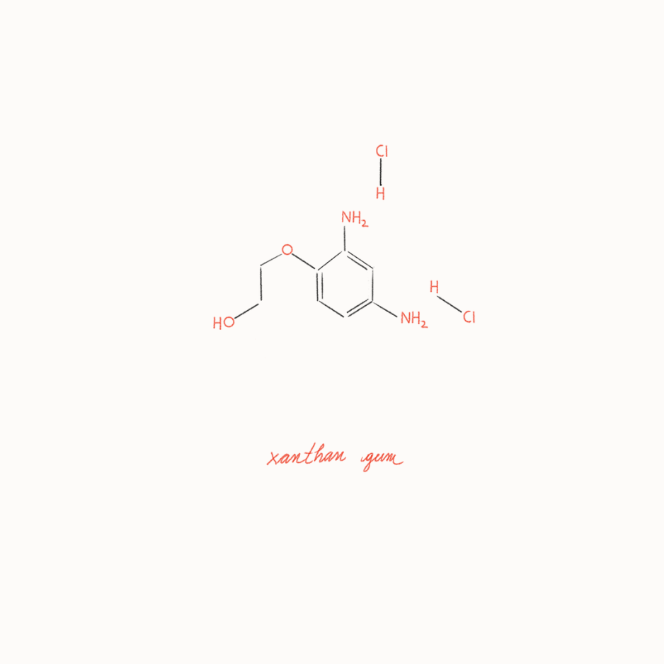 Xanthan Gum